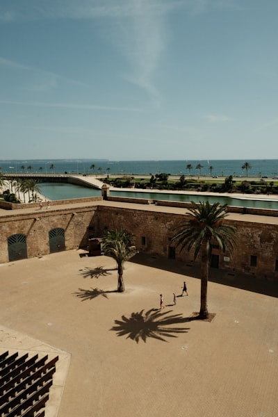 Servicios automatizados de inventario de activos en Palma