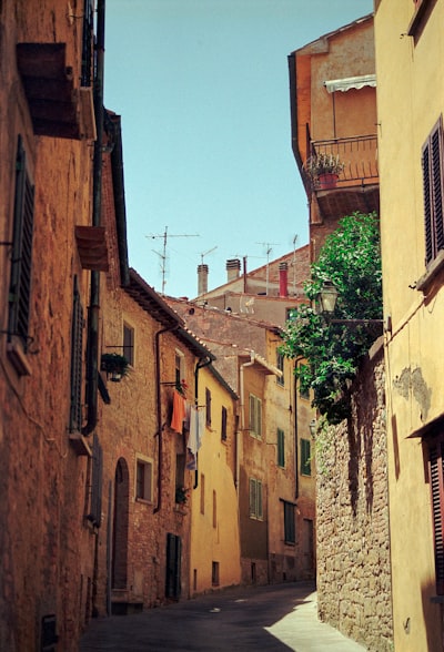 La firma de Volterra