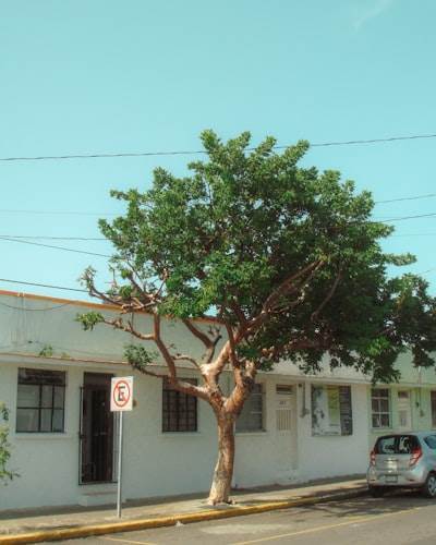 n8n en San Vicente del Raspeig