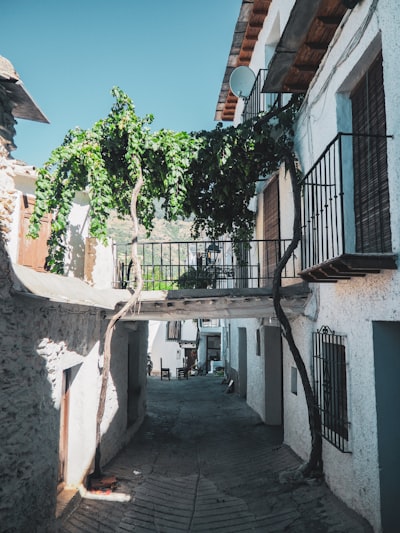 Partner oficial en reemplazo de sistemas heredados en Granada con más de 15 años de experiencia