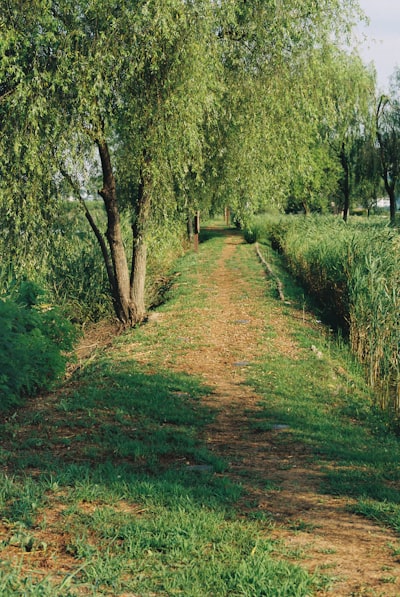 Manipulación de creencias mediante colusión multiagente y montaje generativo