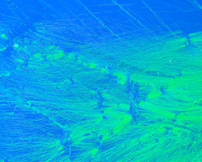 Modelado de Difusión para Hábitats de Exploración en Alta Mar