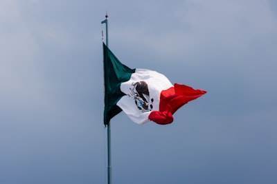 Los deudores en México: su importancia para los sujetos obligados.