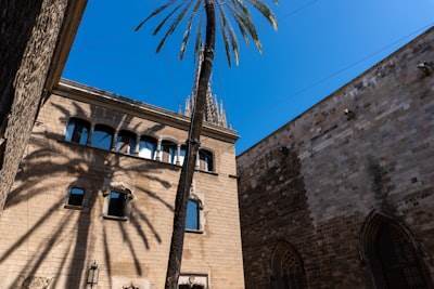 Las 15 mejores empresas de consultoría en Alcázar de San Juan