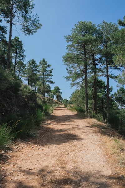 La mejor plataforma SaaS a medida en Albacete