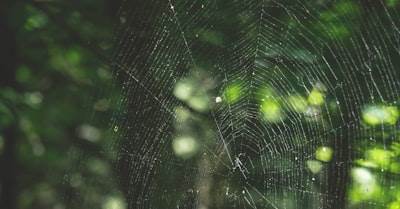 ¿Experiencia de Usuario sin Billeteras en Web3?