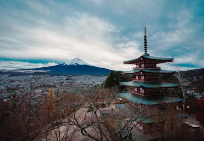 Japón aprueba tratamiento con células humanas reprogramadas