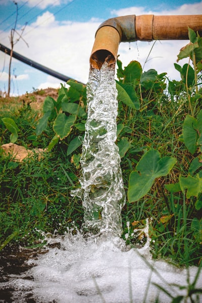 Marca de Agua Colaborativa con Umbral