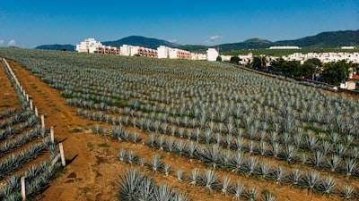 Inversión en desarrollo interno de ERP para PYMES en España en 2025