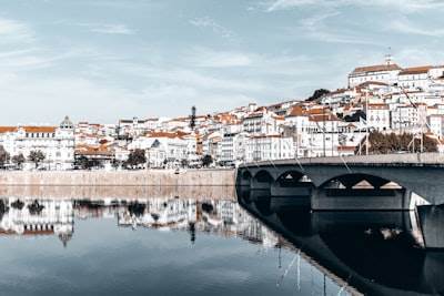 Professional AI SEO Services in Portugalete