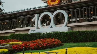 Los mejores expertos en servicios n8n en Orihuela