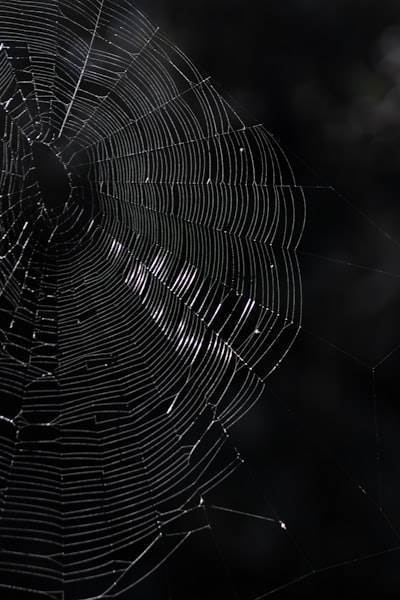 Construyendo una defensa en capas contra el web scraping