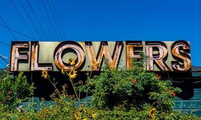 Las mejores empresas de Power BI en La Orotava