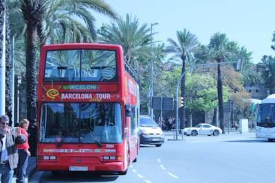 Servicios de n8n en Marbella