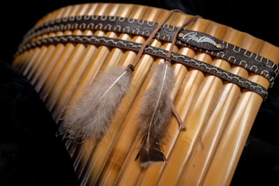 Native Instruments enfrenta proceso de insolvencia