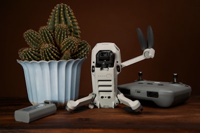 Una guía para principiantes del modelo Video-Crafter