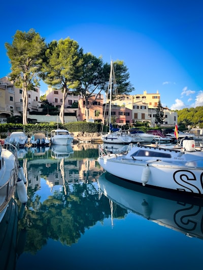 Las mejores empresas de bots de Instagram en Calvià