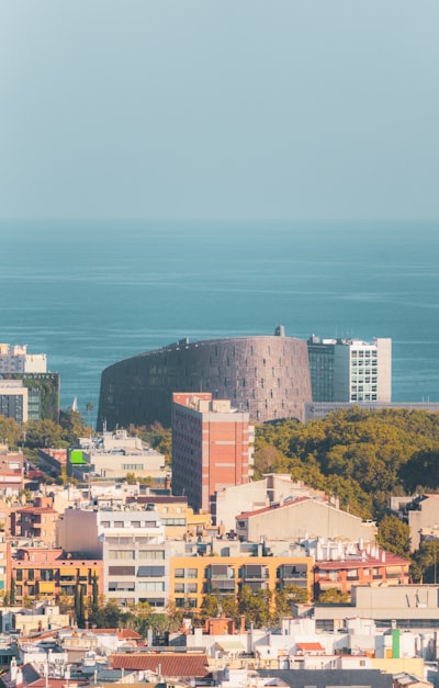 Los 3 mejores expertos en programación de IA en Barcelona