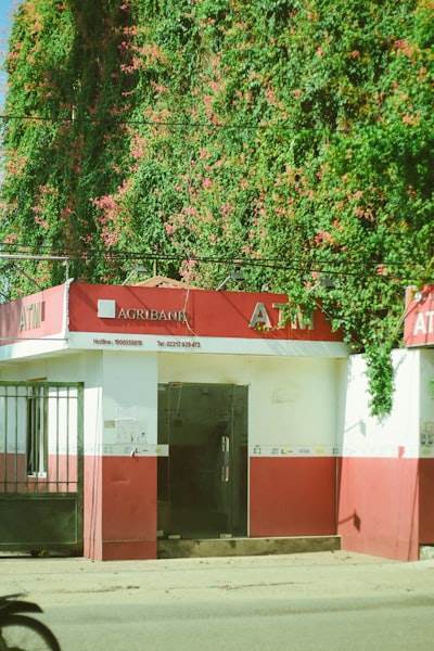 Servicios de Agencia de IA en Béjar