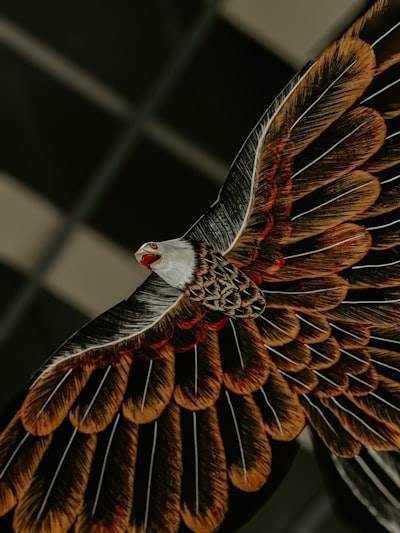 Águila Magenta: Cómo la IA está transformando la entrega de software