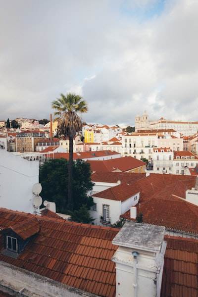 Los 15 mejores expertos en bots de Instagram en Las Palmas de Gran Canaria