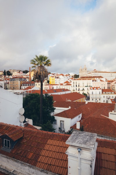 Las mejores empresas de bots para Instagram en Las Palmas de Gran Canaria