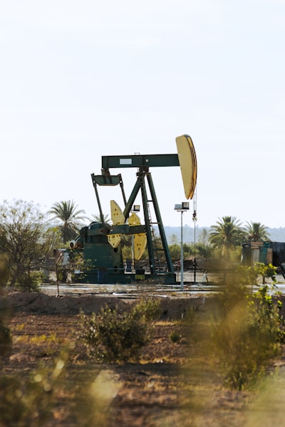 Los datos son el nuevo petróleo: aprovecha tu base de datos.