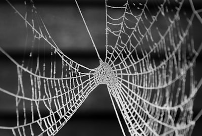 Cambios internos previos a la implementación de una aplicación web con API.