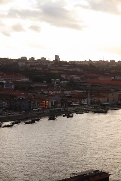 Top 50 Expertos en Inteligencia de Negocios en Ribeira