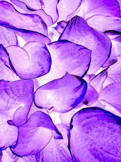 El cáncer puede proteger contra el Alzheimer