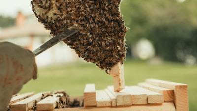 Optimizando la automatización de APIs con AI