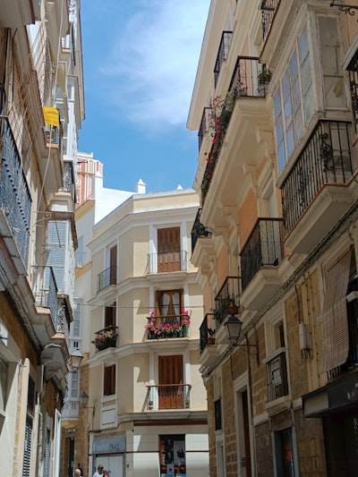 Las mejores empresas de sistemas telefónicos de IA en Cádiz