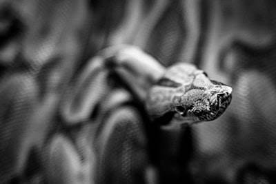 Python for Data Science - Real World Workflow