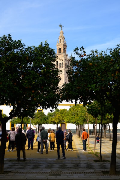 Servicio de modernización de legado en Sevilla