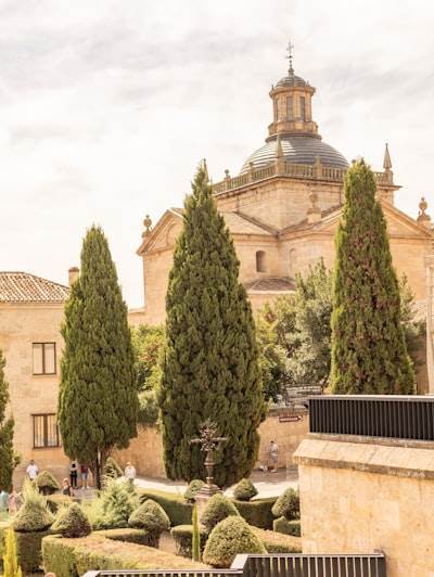 Los mejores expertos en desarrollo de software web personalizado en Ciudad Rodrigo