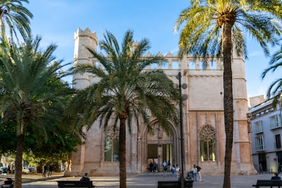 Los 30 mejores expertos en ChatGPT vs sitio web en Palma