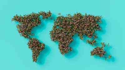 Expanding Your Global Organic Reach with International SEO