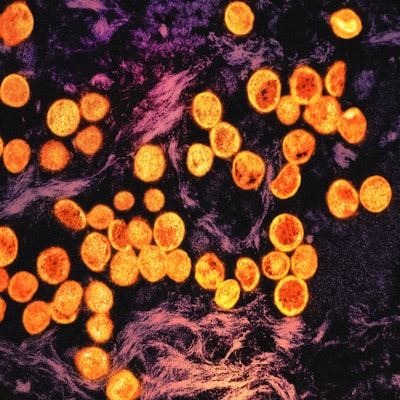 ¿Cómo diagnosticar enfermedades cutáneas raras de manera confiable?