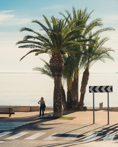 La guía para contratar empleados de IA en Murcia