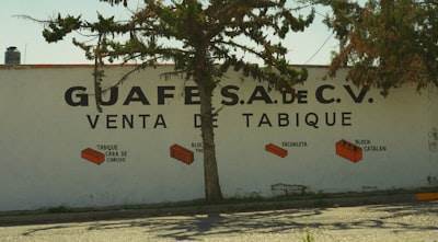 Servicios de software en San Vicente del Raspeig
