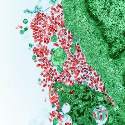Modulación avanzada del receptor de glucagón mediante nanopartículas de lípidos dirigidas