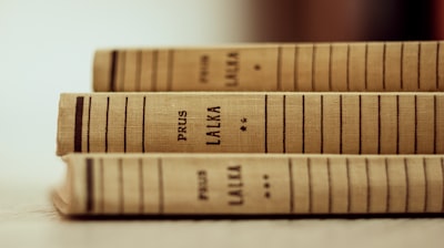 Los mejores profesionales de validación de documentos con IA en Palma