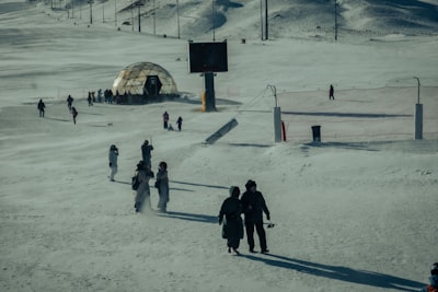 5 Must-Watch Movies Before the 2026 Winter Olympics