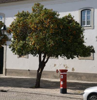 Encuentra servicios telefónicos de IA en Vitoria