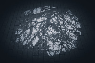 Árbol de búsqueda para modelos de lenguaje