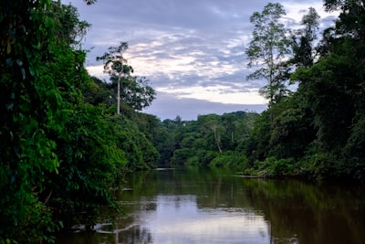 Cometa rumbo a prohibición: Amazon en la mira