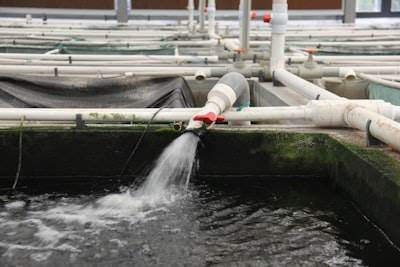 Optimización de sistemas de monitoreo para acuicultura sostenible.