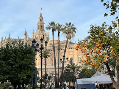 Desarrollo de aplicaciones a medida en Sevilla