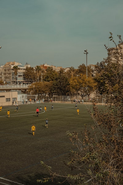 Directorio completo de proveedores de apps para equipos de campo