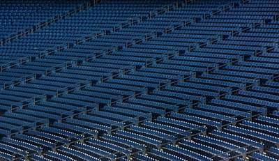 Los motivos del amor de los fans de los Blue Jays por la camiseta de Davis Schneider "Bam Bam Barger"